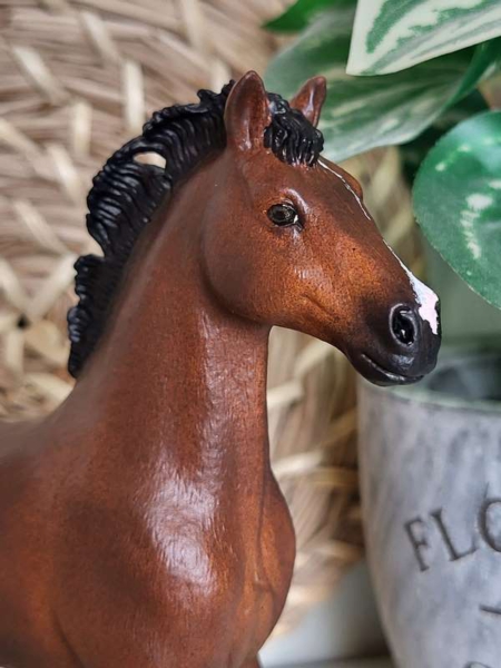 Zoo_Lianne_Schleich_Repaints_02