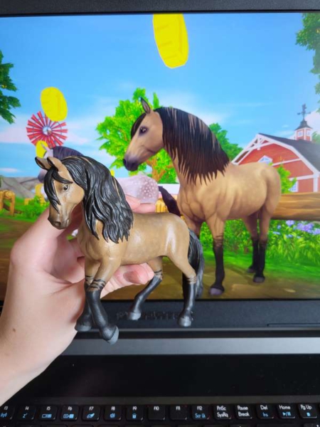 Zoo_Lianne_Schleich_Repaints_Star_Stable