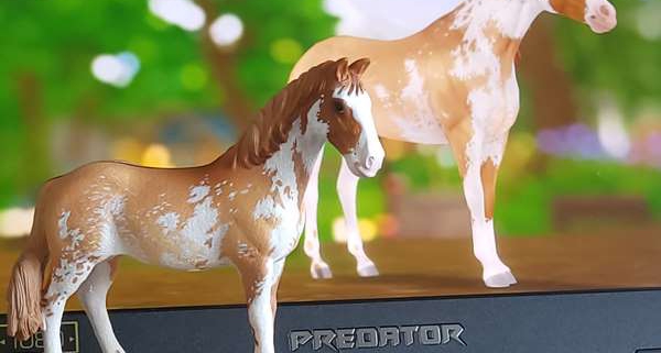 Zoo_Lianne_Schleich_Repaints_Star_Stable Zoo_Lianne_Schleich_Repaints_Star_Stable