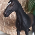 Zoo_Lianne_product_25