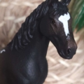 Zoo_Lianne_product_27