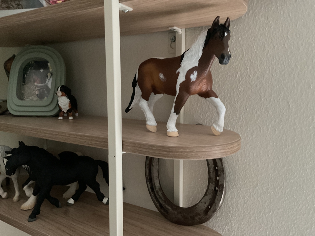 Afbeelding #1 van Femke