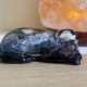 Zoo_Lianne_42